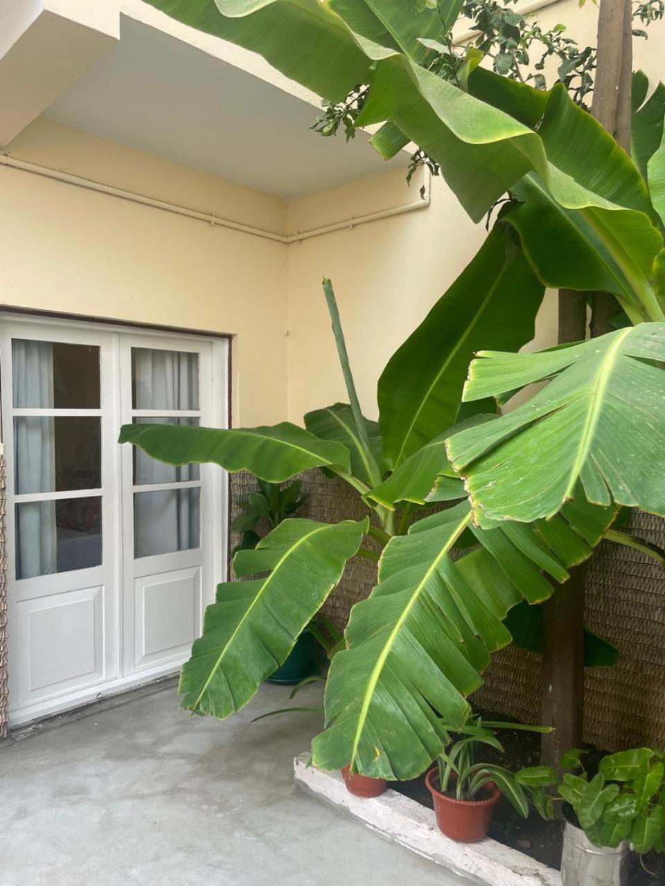 פראייה Casa Estrela - Sea & Art Guesthouse מראה חיצוני תמונה